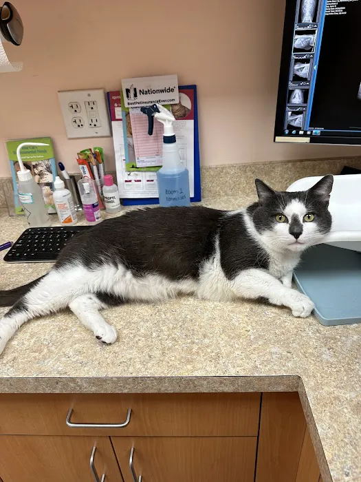 East Bay Veterinary Hospital Picture 2