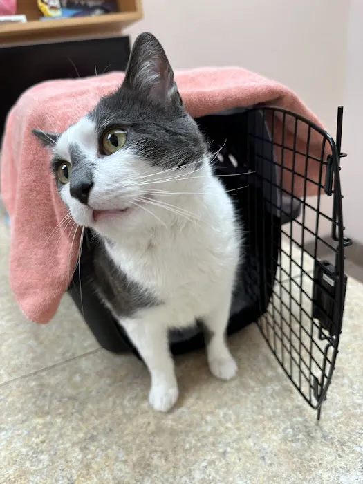 East Bay Veterinary Hospital Picture 1