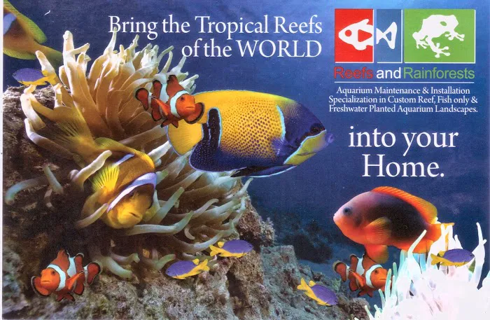 Reefs and Rainforests Picture 3