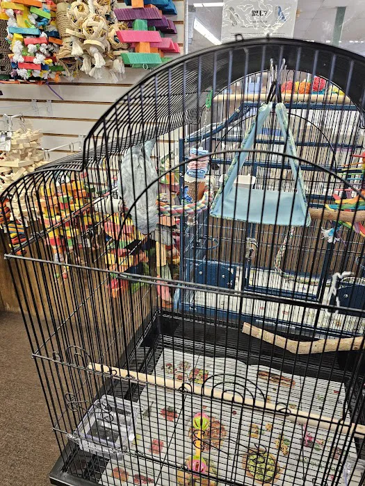 The Bird Store Picture 1
