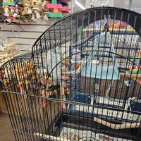 The Bird Store ico