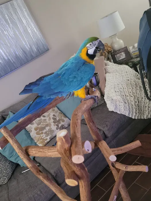 The Bird Store Picture 2