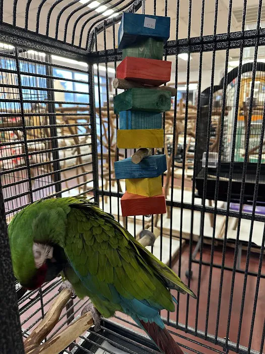 The Bird Store Picture 9