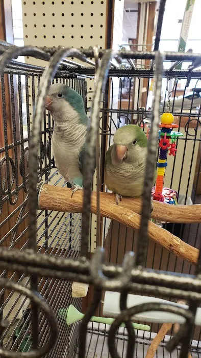 The Bird Store Picture 8
