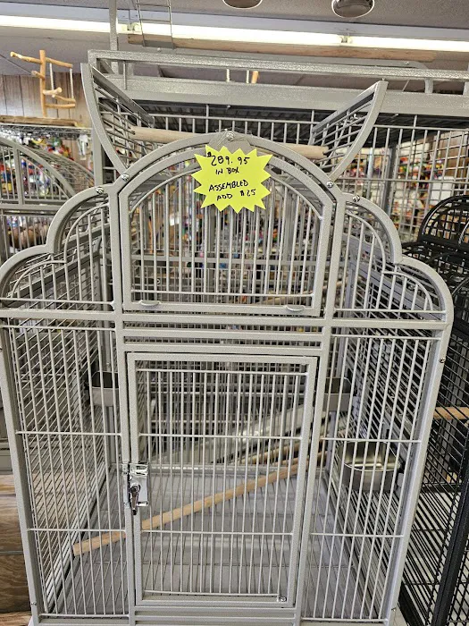 The Bird Store Picture 4