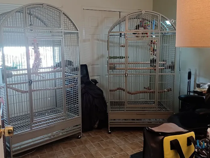 The Bird Store Picture 6