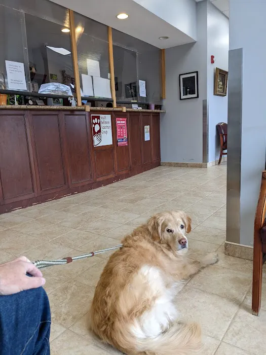 South Bellmore Veterinary Group Picture 8