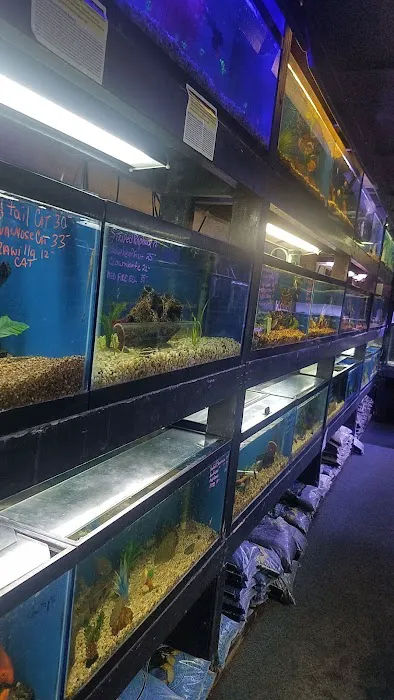 Sea Life Aquarium Services Picture 4