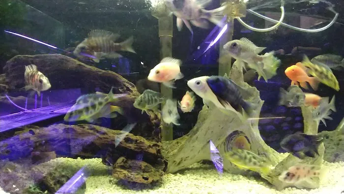 Sea Life Aquarium Services Picture 6