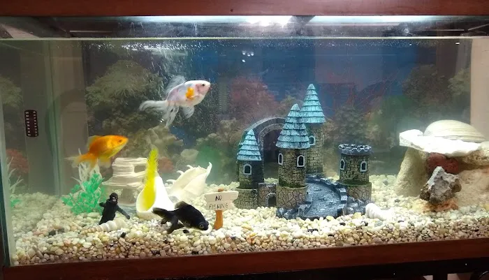 Sea Life Aquarium Services Picture 2