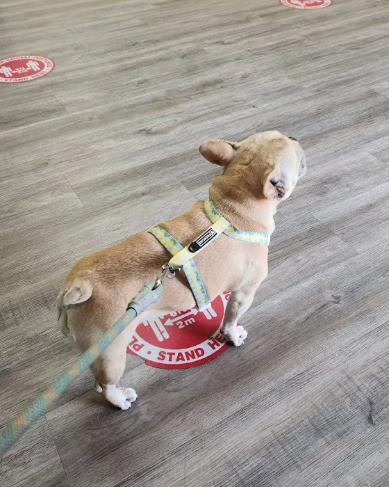 East Village Green Animal Hospital Picture 1