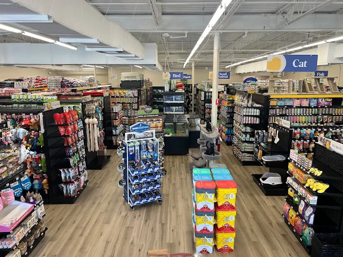 Pet Supermarket Picture 3