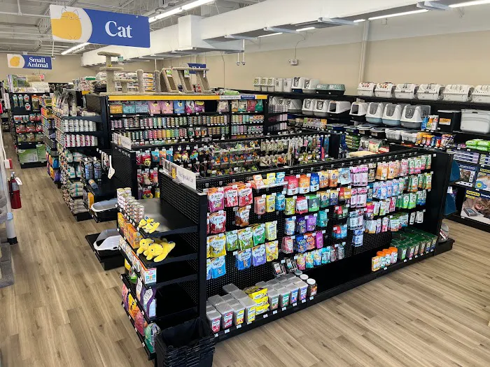 Pet Supermarket Picture 7
