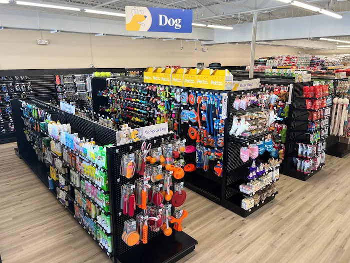 Pet Supermarket Picture 5