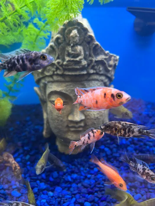 Pet Supermarket Picture 10