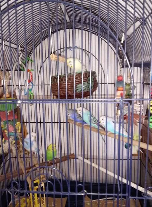 Leesburg Pet Center Picture 2