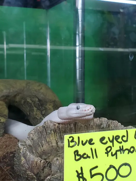 Leesburg Pet Center Picture 4