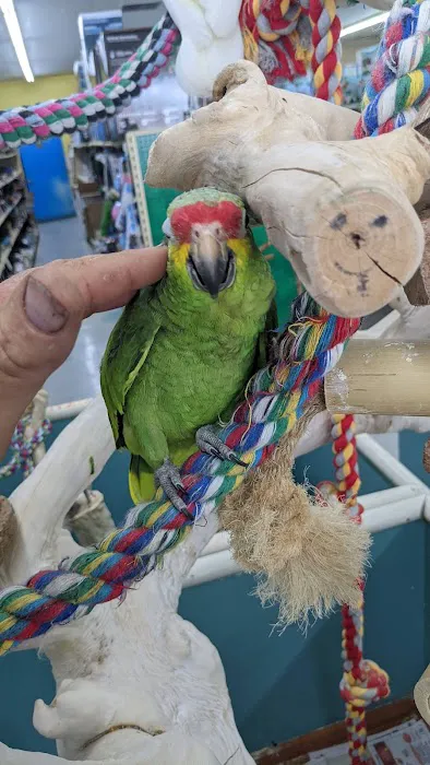Leesburg Pet Center Picture 9