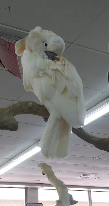 Leesburg Pet Center Picture 5