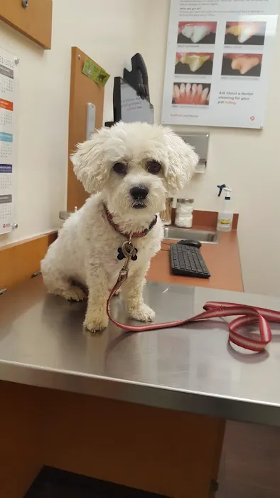 Banfield Pet Hospital Picture 4