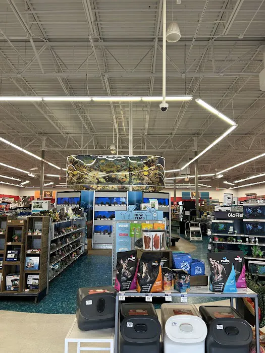 Petco Picture 9