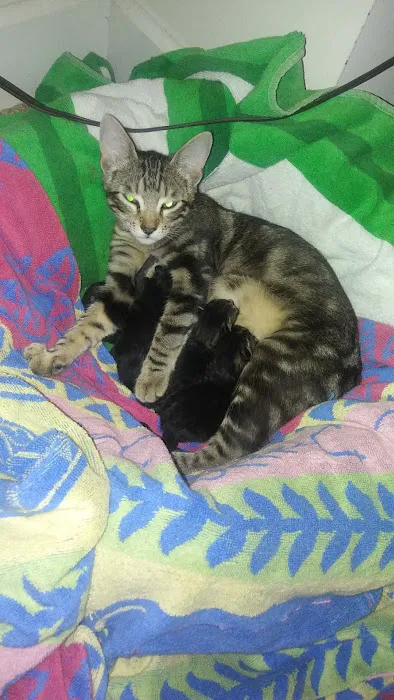 Petco Picture 8