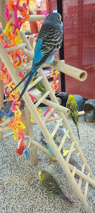 Petco Picture 1