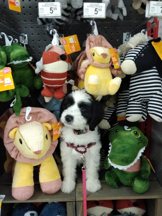 Petco Picture 6