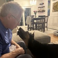 Wantagh Animal Hospital ico