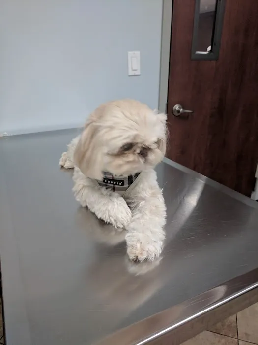 Bellmore Veterinary Hospital Picture 1