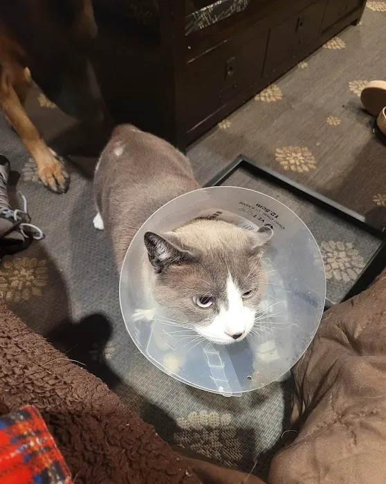 Mid Island Animal Hospital: Mitchell Kornet DVM Picture 3