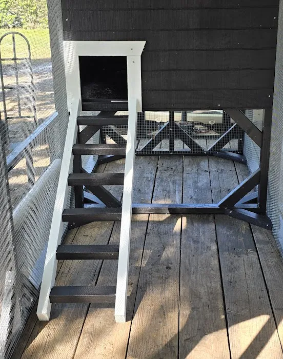 jbchick coops & cages llc Picture 2