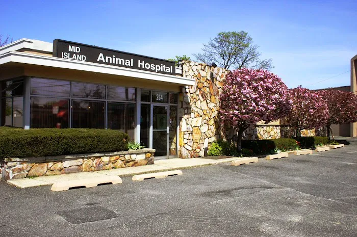 Mid Island Animal Hospital Picture 8
