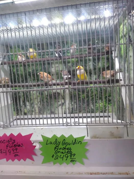 Pipsqueeks Pets Picture 2