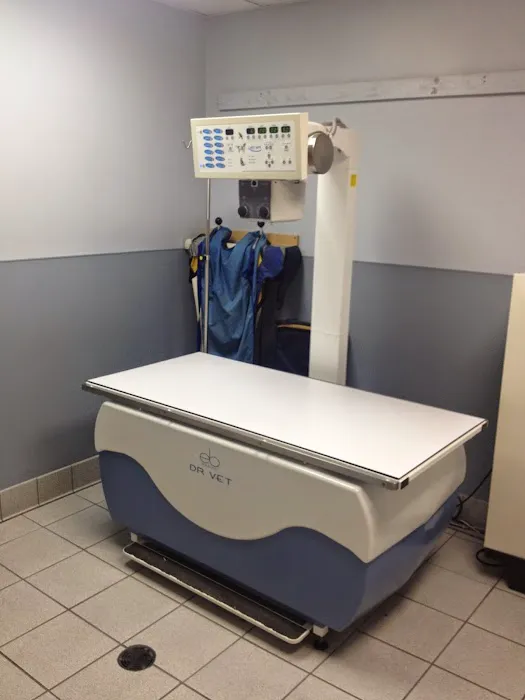 Island Trees Veterinary Hospital Picture 3