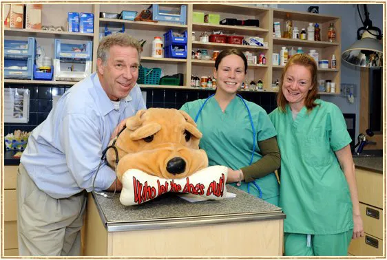 Island Trees Veterinary Hospital Picture 5