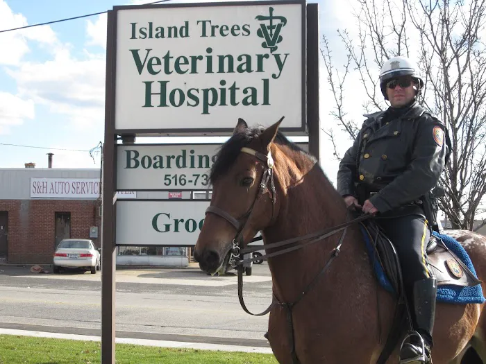 Island Trees Veterinary Hospital Picture 8