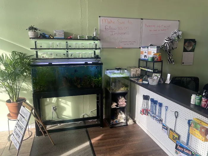 The Aquatic Source LLC Picture 4