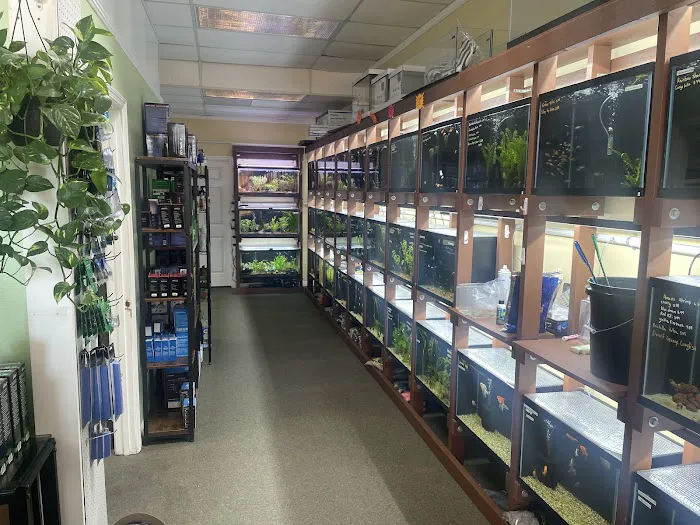The Aquatic Source LLC Picture 8
