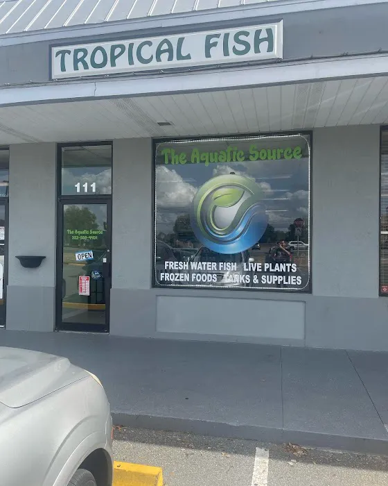The Aquatic Source LLC Picture 6