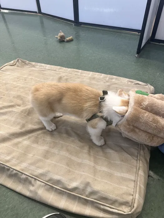 Petco Picture 7