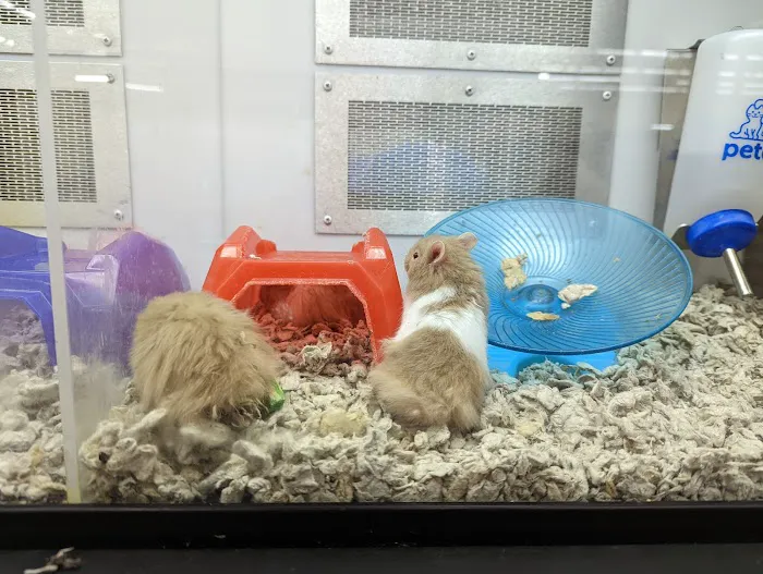 Petco Picture 8