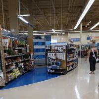 Petco ico