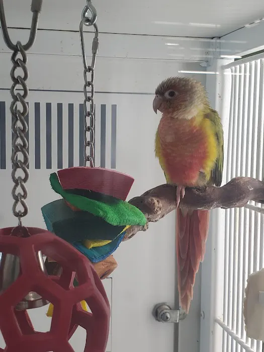 Petco Picture 3