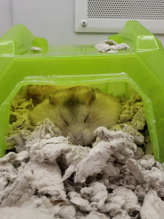 Petco Picture 9