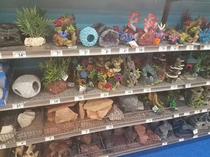 Petco Picture 10