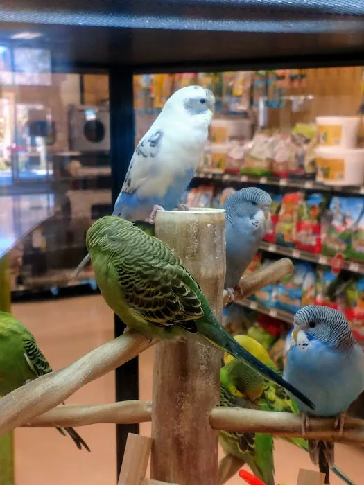 Petco Picture 4