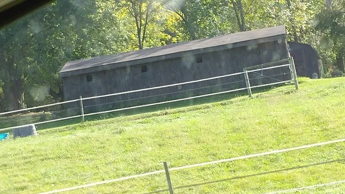 Newfield Veterinary Clinic Picture 3