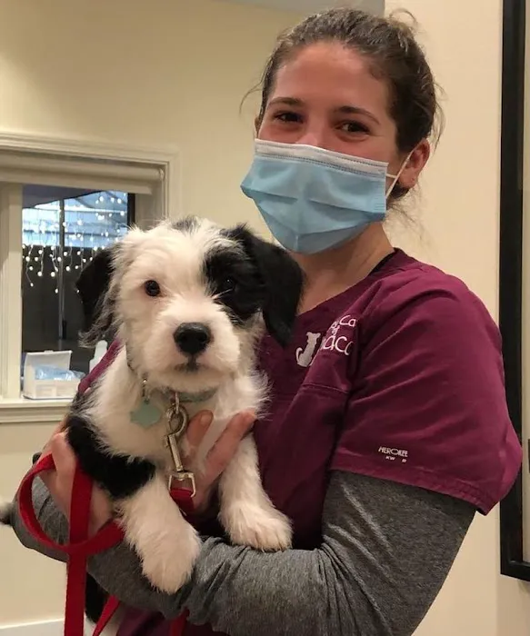 Veterinary Care of Ithaca Picture 7