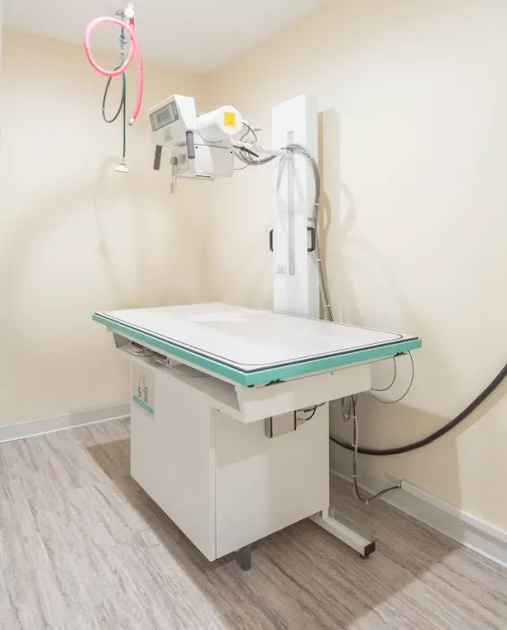 Veterinary Care of Ithaca Picture 3
